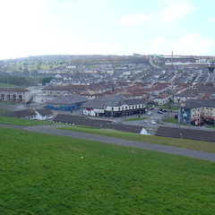 DSC04823
