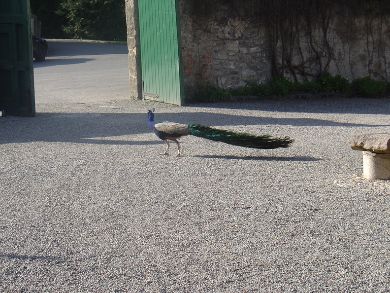 DSC04097.JPG