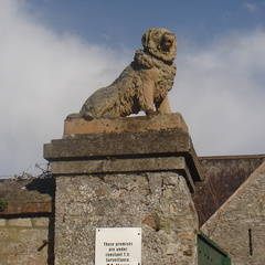 DSC04098