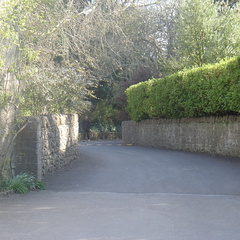 DSC04099