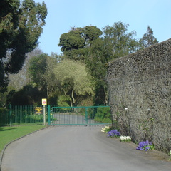 DSC04102
