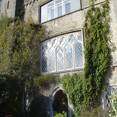DSC04118