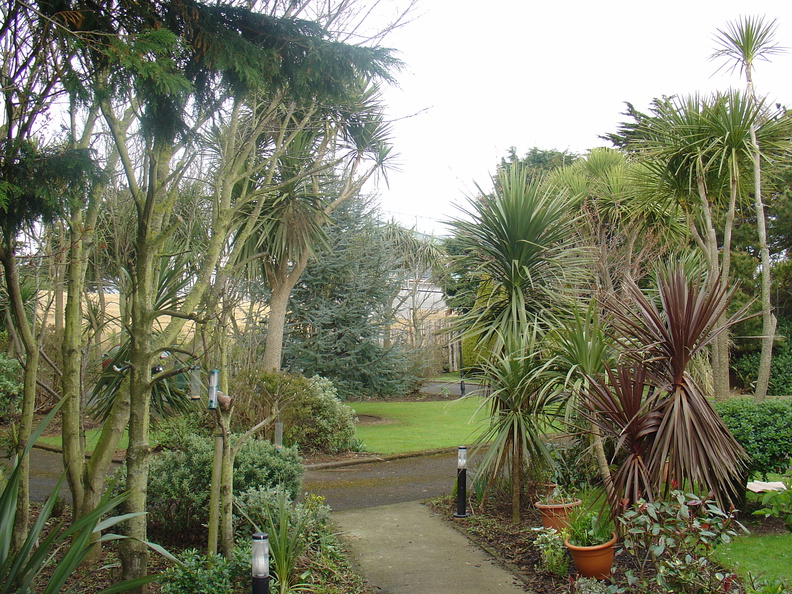 DSC04213.JPG