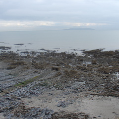 DSC04222
