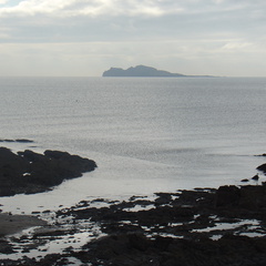 DSC04232