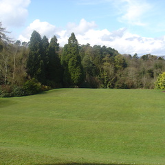 DSC04530