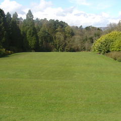 DSC04532