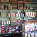 DSC04554