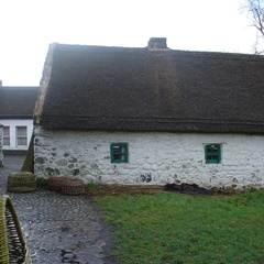 DSC04566