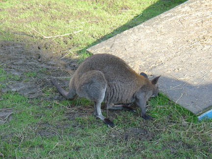 DSC05170