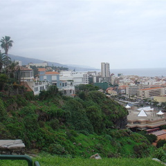DSC03905