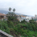 DSC03906