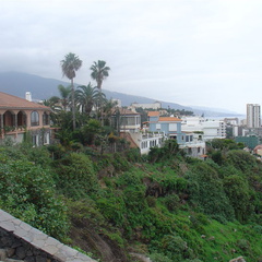 DSC03906