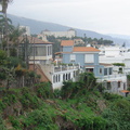 DSC03907