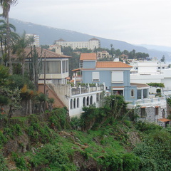 DSC03907