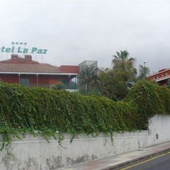 DSC03918