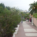 DSC03919