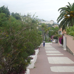 DSC03919