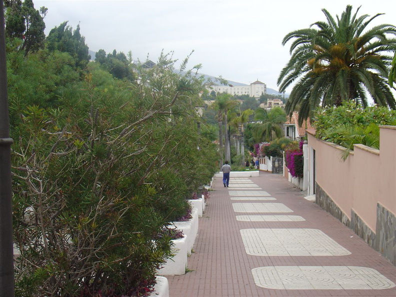 DSC03919