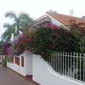 DSC03920