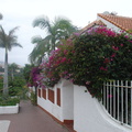 DSC03921