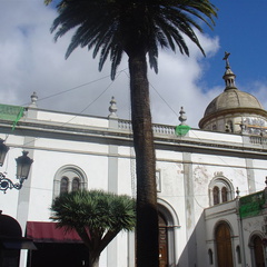 DSC04038