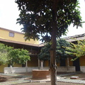 DSC04045