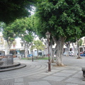 DSC04051