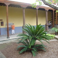 DSC04059