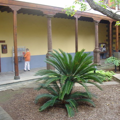 DSC04059