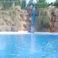 DSC03758