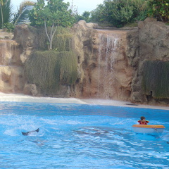 DSC03764