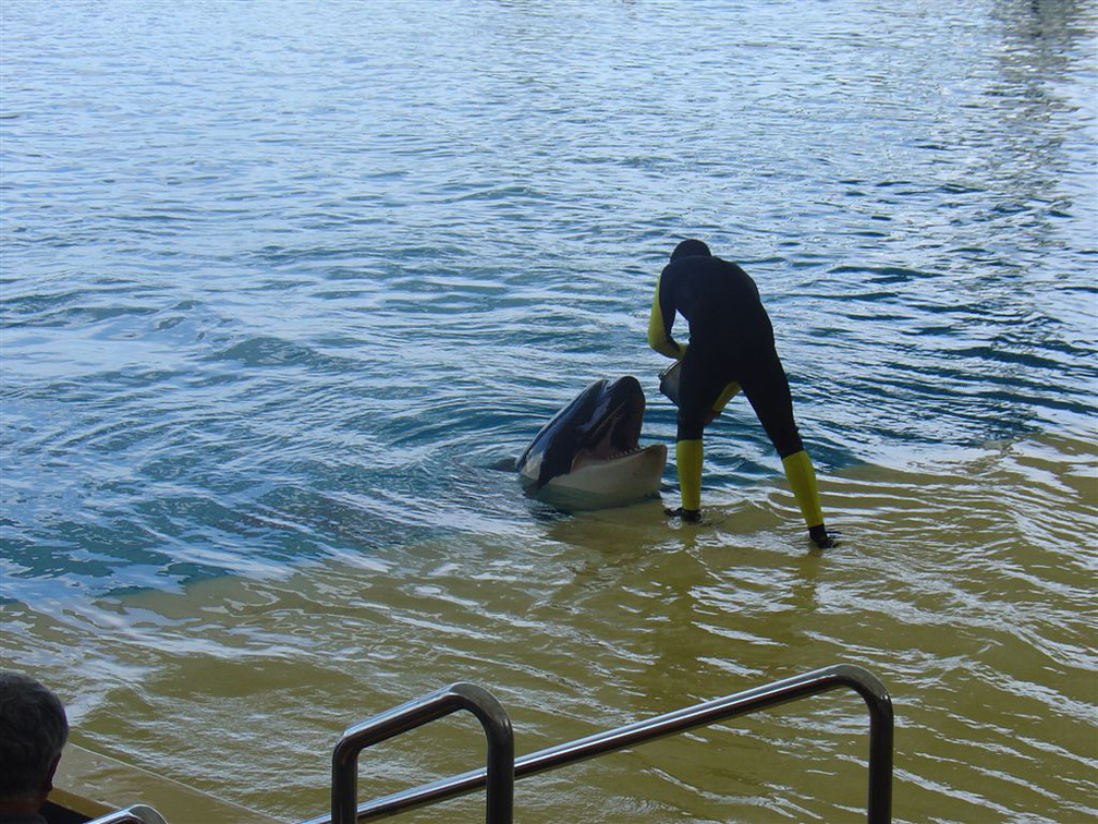 DSC03777