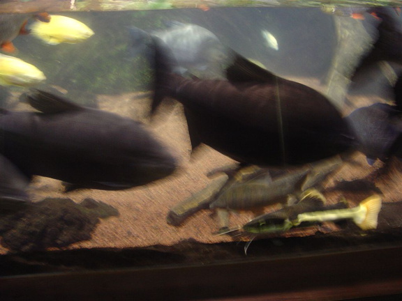 DSC03856