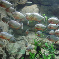 DSC03859