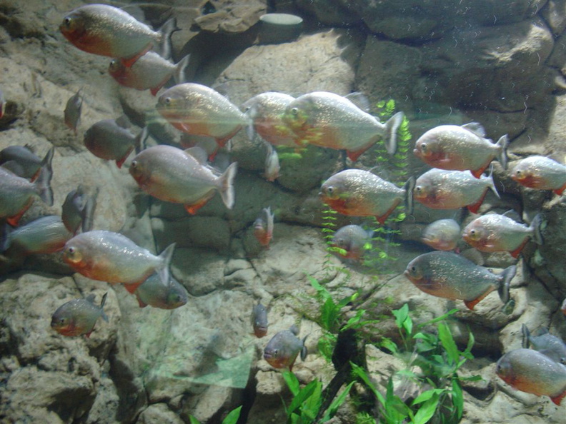DSC03859