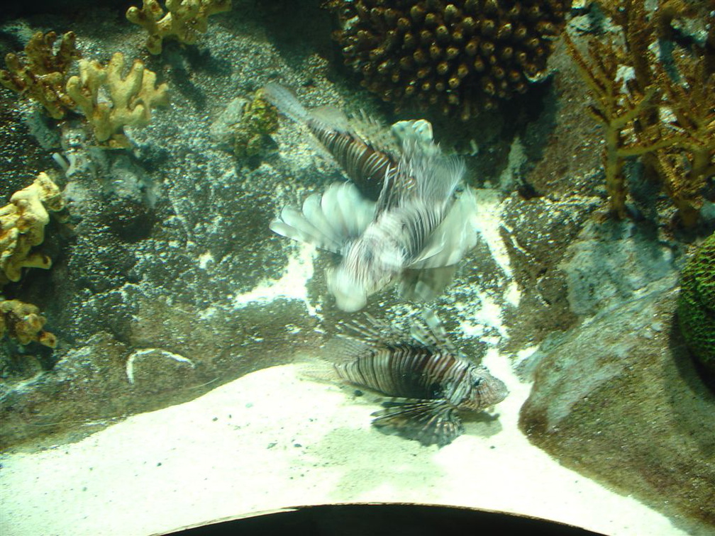 DSC03861