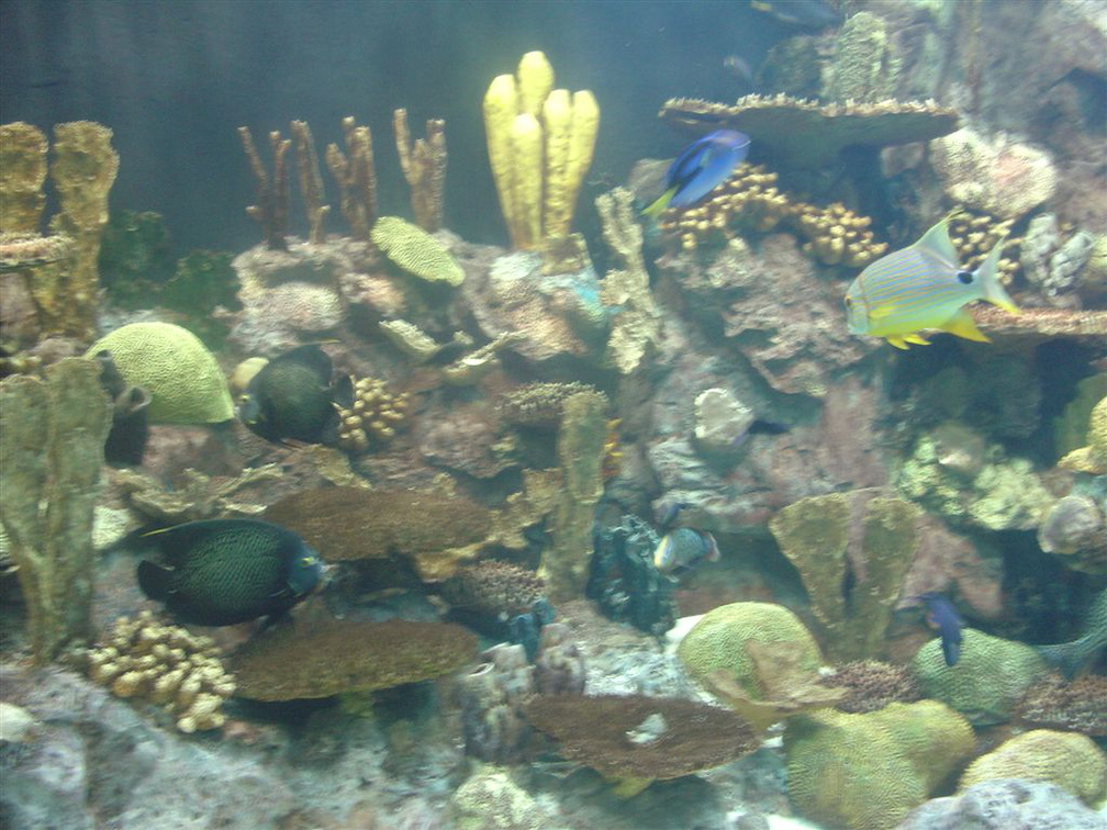 DSC03866
