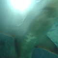 DSC03869