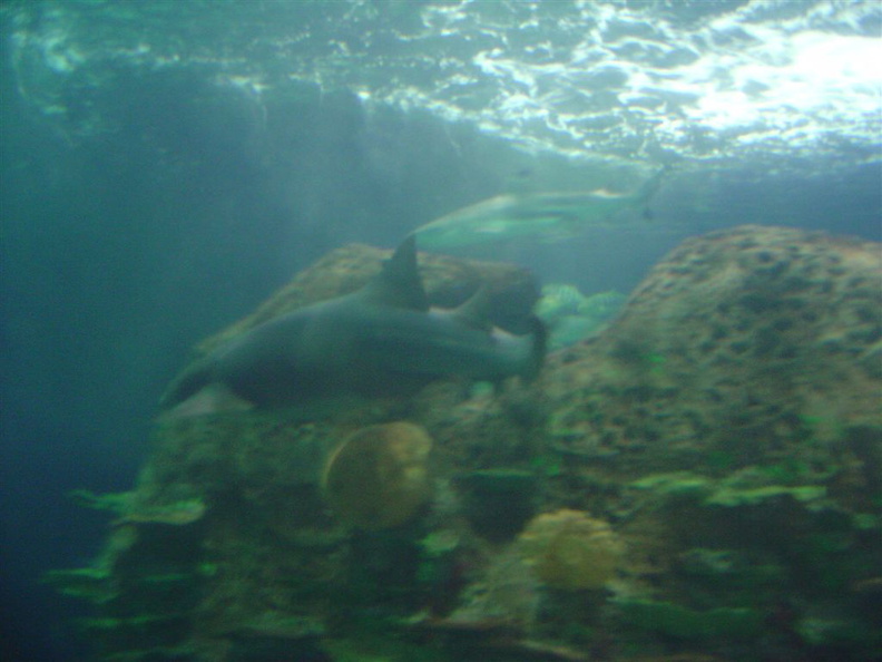 DSC03871.JPG