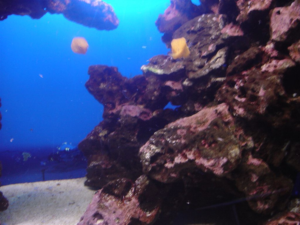 DSC03875