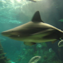 DSC03879