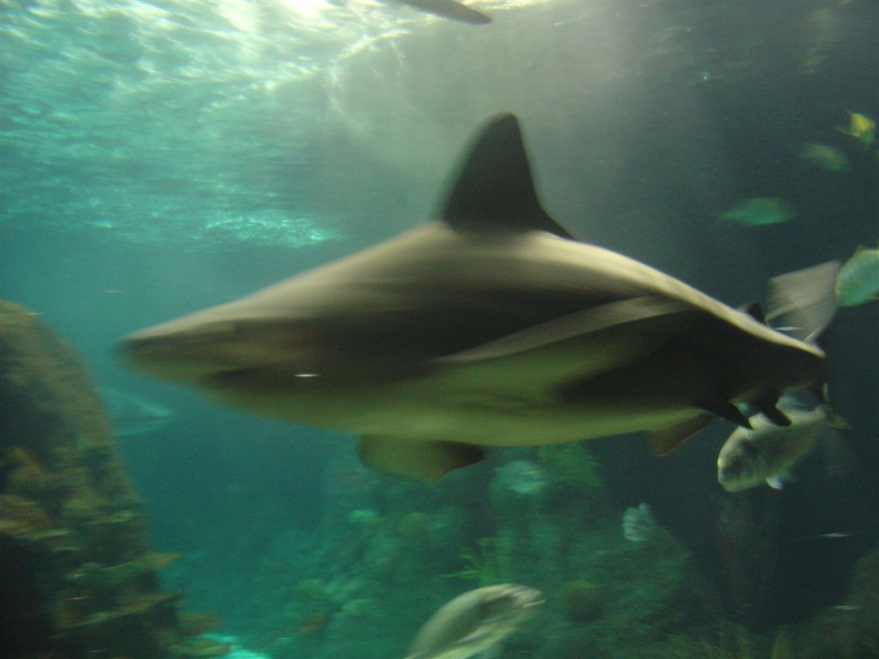 DSC03879