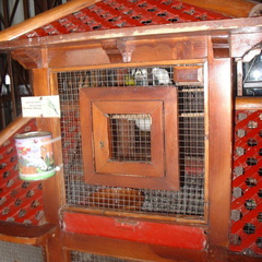 DSC03668