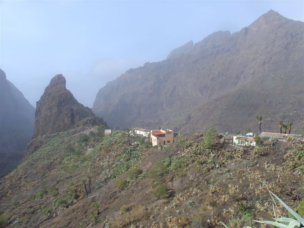 DSC03676