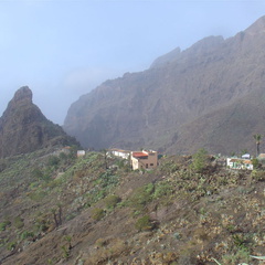 DSC03676
