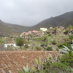 DSC03682