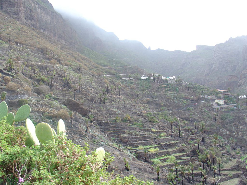 DSC03685