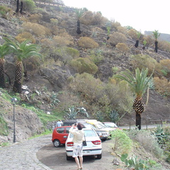 DSC03689