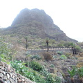 DSC03690